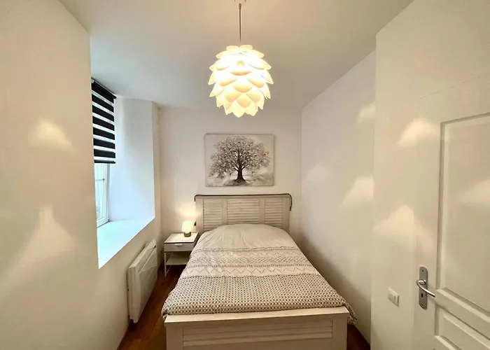 Διαμέρισμα Au Coeur De Κολμάρ