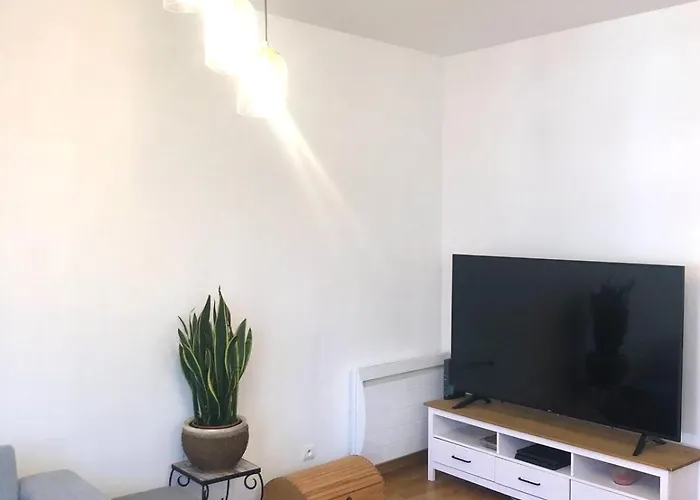 Διαμέρισμα Au Coeur De Κολμάρ